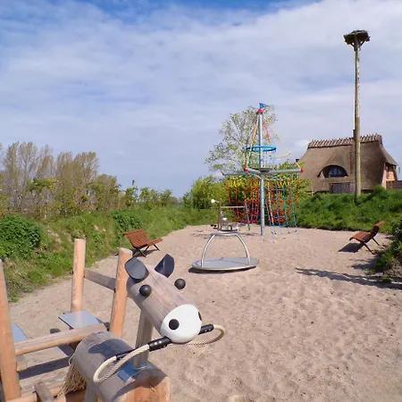 Reetdorf Geltinger Birk Atelierhaus Schilfinsel 別荘 *